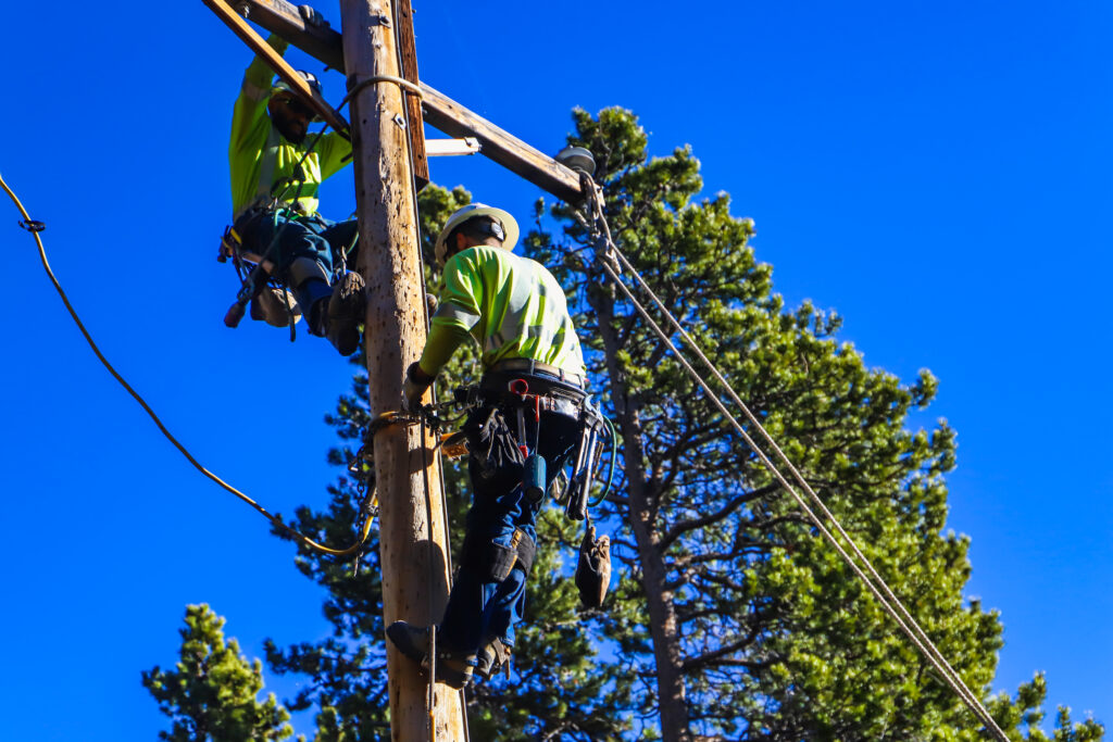 Two men at work on a power pole surrounded by evergreen trees.